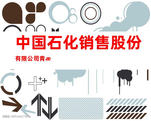 中国石化销售股份有限公司青海石油分公司湟中区东出口加油站